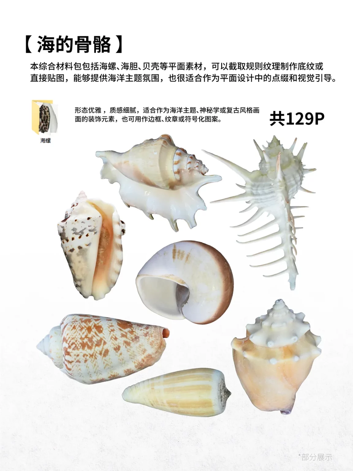 修改版-海螺