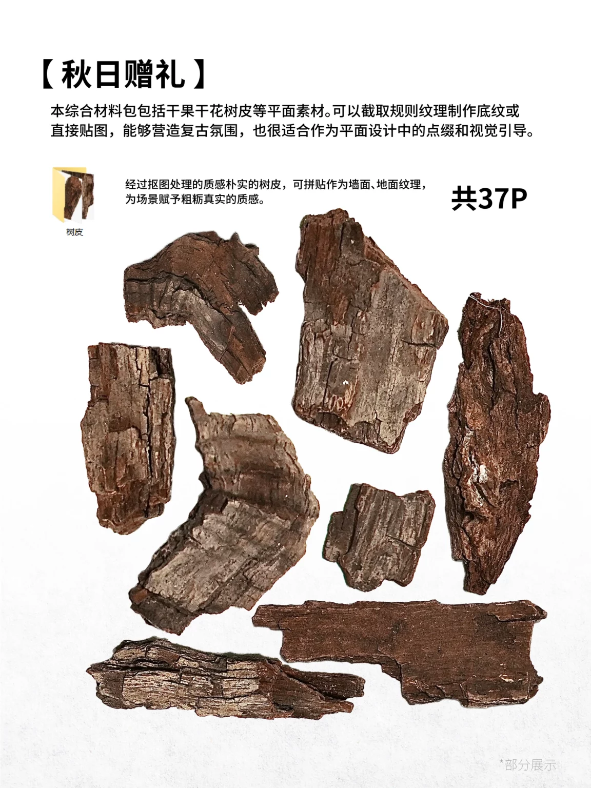 树皮